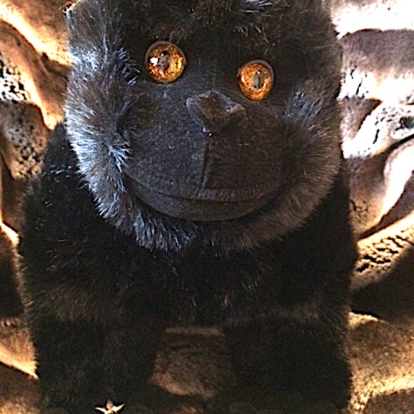 RARE NEW SHOWROOM SAMPLE STARS IN THE WILD PLUSH BLACK AND GRAY GORILLA JUNGLE - Picture 11 of 12